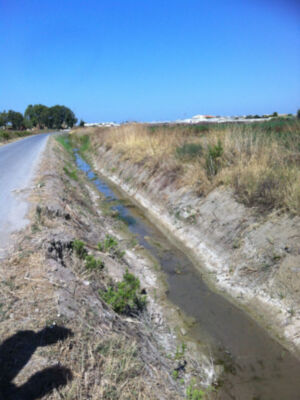 Agricultura prepara arroyos y cunetas para la llegada de la temporada de lluvias(Chipiona)
