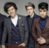 ONE DIRECTION O LOS PERDEDORES QUE GANARON