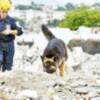 SE CLAUSURA EL XXXVIII CURSO METODO ARCON, IMPARTIDO POR BUSF BOMBEROS UNIDOS SIN FRONTERAS, EN REPUBLICA DOMINICANA, IMPACTANDO LA EXTRAORDINARIA EFICACIA DEMOSTRADA