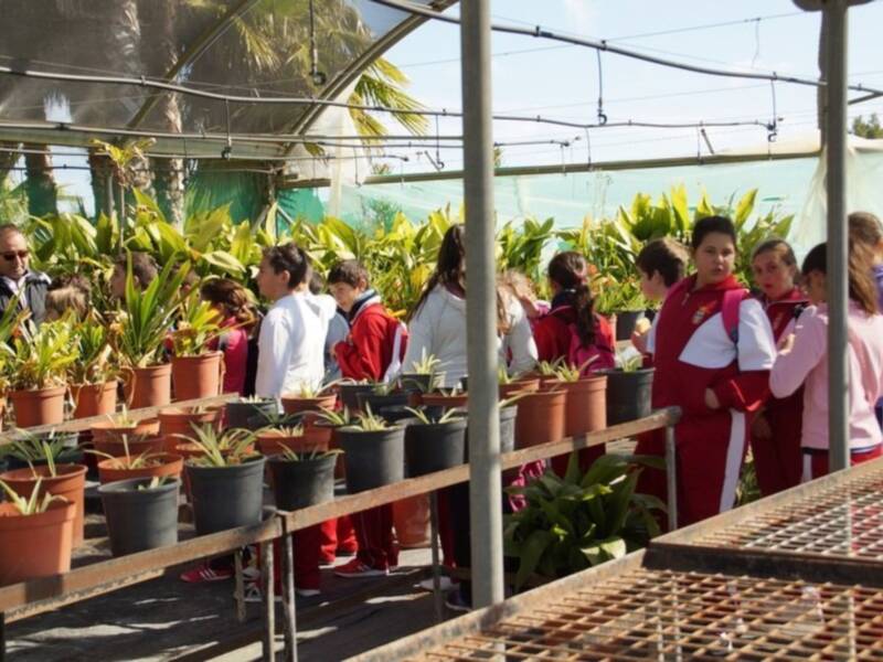 Los alumnos del Cristo de las Misericordias conocen en una visita el funcionamiento del Vivero Municipal(Chipiona)  