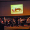 Sevilla. En la sala de Teatro de Cajasol, se celebro la II Edición de la gala de la entrega de los premios: Tradiciones sevillanas.