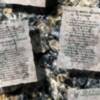 V Ciclo Poesía Nadadora en La Carbonería este mes de Octubre