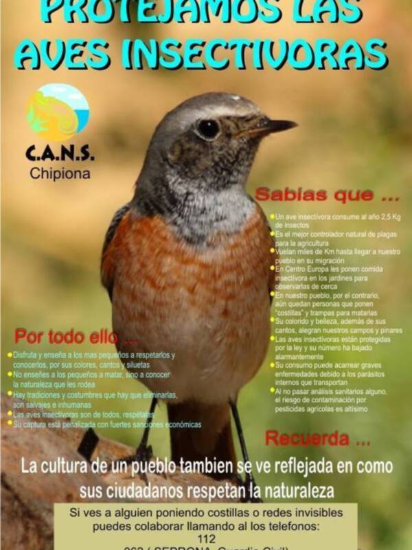 CANS hace un llamamiento a la colaboración ciudadana para eliminar la caza de aves insectívoras(Chipiona) 