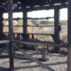 Un menor de catorce años reconoce ser el autor del incendio que destruyó un avistadero de aves junto al Centro El Camaleón