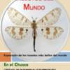 La sala del colectivo Espacio Vacío en el Chusco acoge desde el viernes una exposición sobre los insectos más bellos del mundo