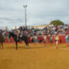 Provincia de Sevilla.Vuelve los toros a esta plaza sevillana de Alcalá del Río que data de 1950.
