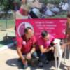 Rescatan un galgo en la Universidad Pablo de Olavide de Sevilla
