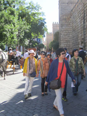 Por qué ha bajado el número de visitantes a Sevilla ?