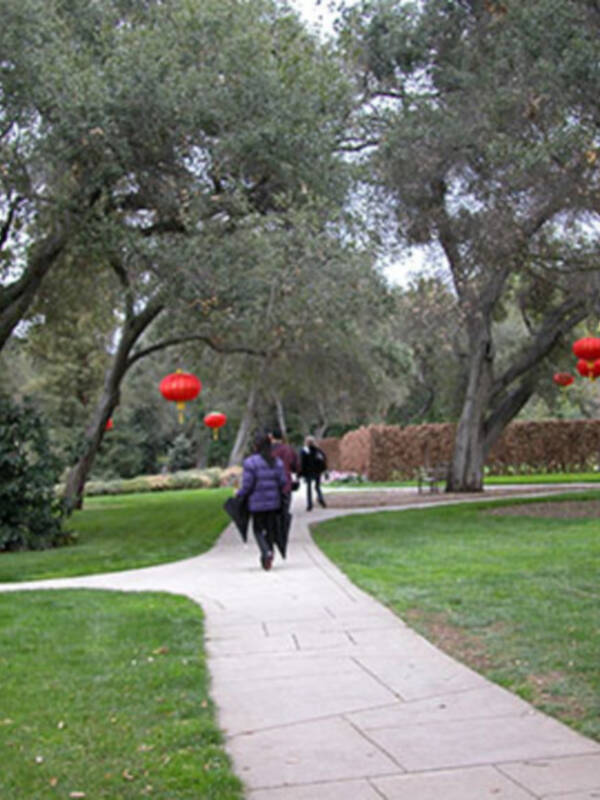 La Casa China inicia los cursos de chino 2015-2016 