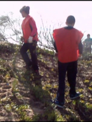 Alumnos de secundaria conocen mejor el cordón dunar de Chipiona con unas jornadas de Alvirima y Medio Ambiente
