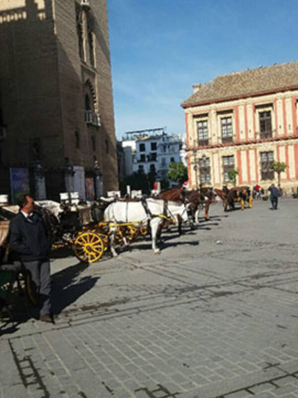 El atentado de París afecta al turismo de Sevilla.