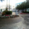 Adecuación de los jardines de la Plaza de la Encarnación