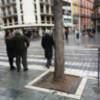 Barreras arquitectónicas y alcorques en la vía pública.