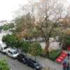 Las Melias en las calles de Sevilla