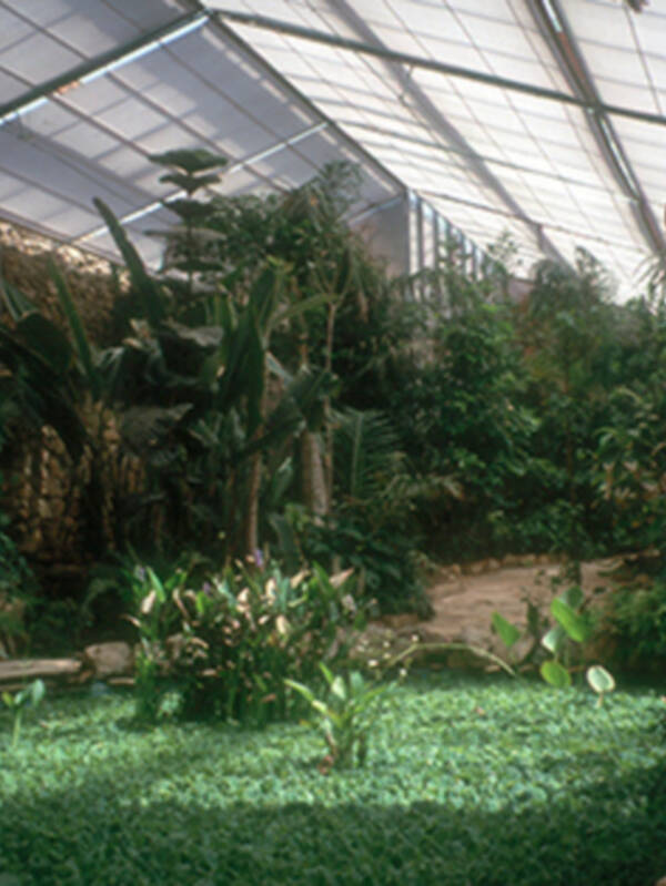 Jardín Americano de Sevilla