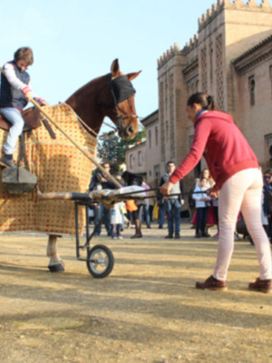 Toreo en la Calle regresa en la Plaza de España