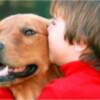 Cuidar de la salud de los animales previene la transmisión de enfermedades a las personas