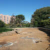 Al Ayuntamiento de Sevilla realiza trabajos de limpieza y mejora del estanque del Parque de Los  Príncipes