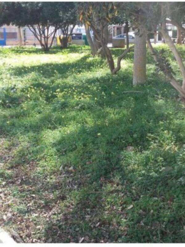 IZQUIERDA UNIDA DE CHIPIONA SOLICITA LA ADECUACIÓN DEL PARQUE JOSÉ MERCÉ.