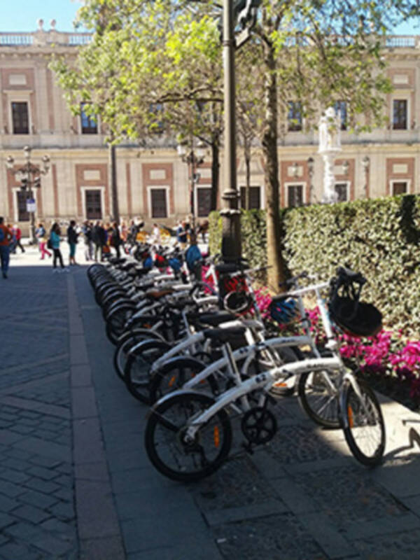 La seguridad y vigilancia de los parques públicos de Sevilla