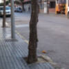 La rehabilitación del acerado de la localidad continuará con la calle Víctor Pradera(Chipiona)   