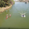 Los remeros del Guadalquivir