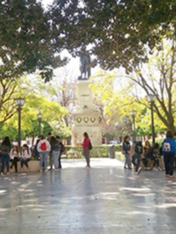 La Plaza del Museo