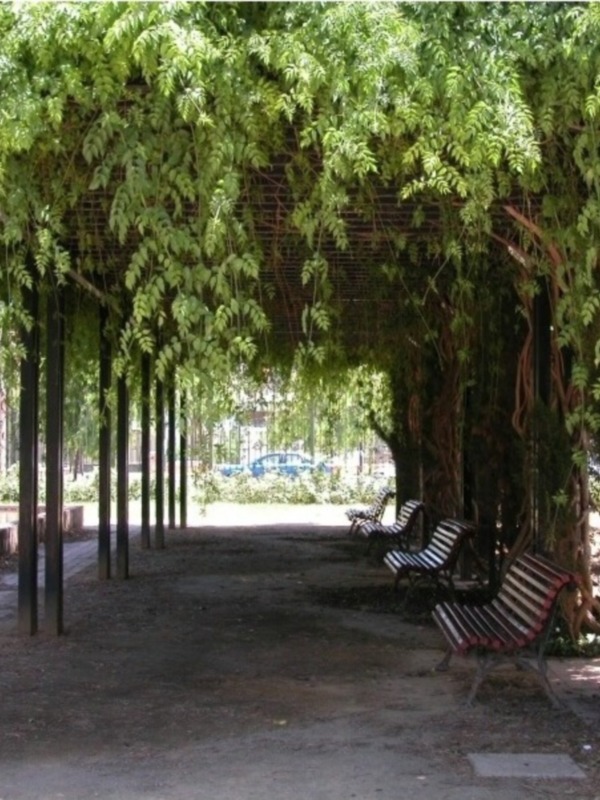 Sombra de Buhaira