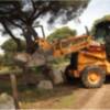 Medio Ambiente realiza cerramientos en la zona recreativa del pinar y las Veredas para proteger del tránsito de vehículos
