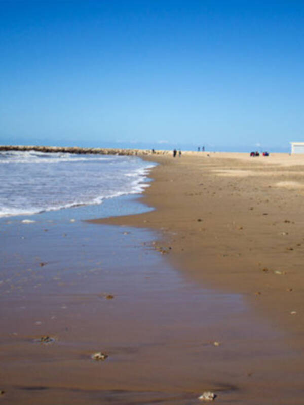 LA MESA DE TRABAJO DE PLAYAS  SE REÚNE POR PRIMERA PARA RESOLVER LA PROBLEMÁTICA DE LA ZONA DEL MONUMENTO DE LA LUZ 