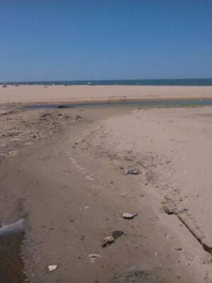 IU exige al gobierno local (PSOE) que asuma responsabilidades por las aguas fecales en la playa de Las Piletas(Sanlúcar de Bda.)