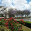 Plaza de Cuba de Sevilla