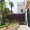 Diálogo sobre jardines en el Alcázar de Sevilla
