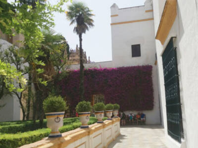 Diálogo sobre jardines en el Alcázar de Sevilla