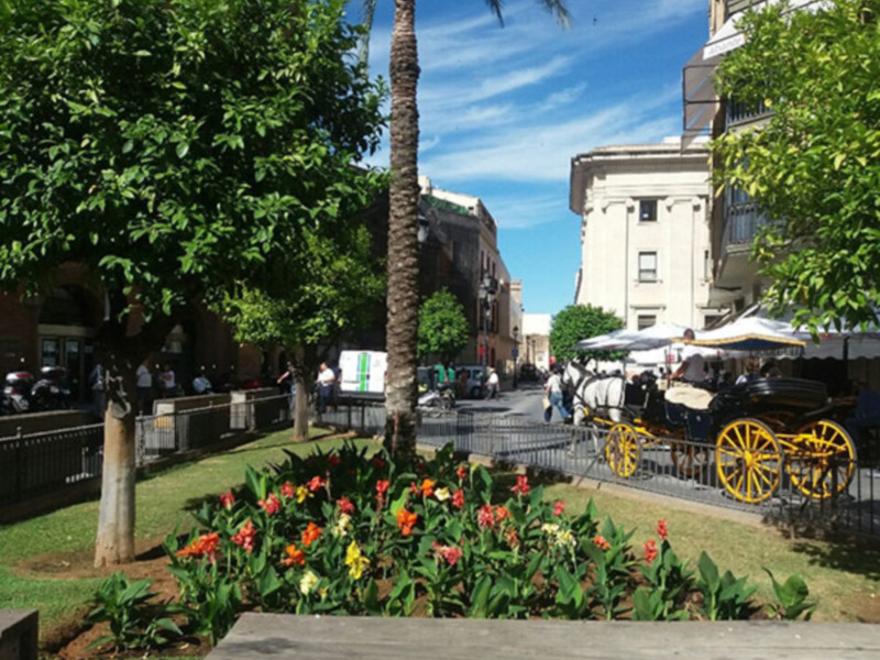Color y jardines en el casco histórico de Sevilla