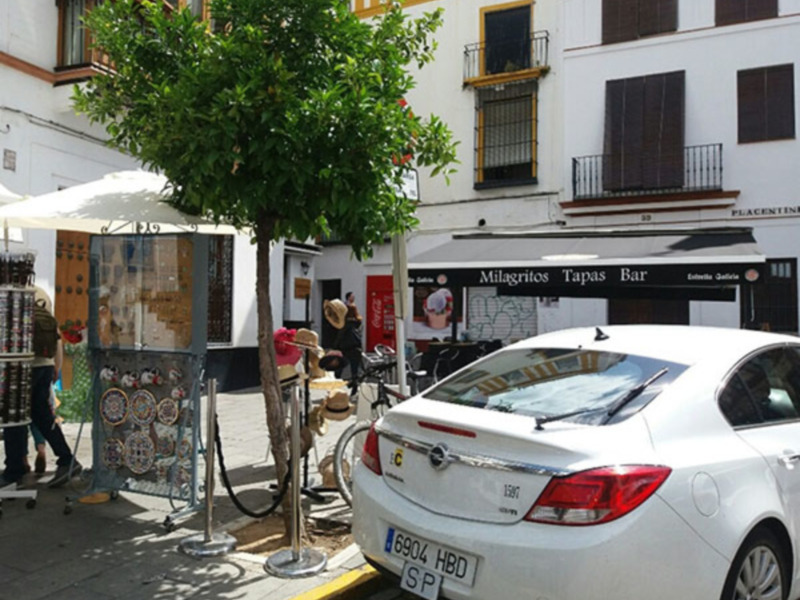 Arboles en peligro