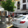 Arboles en peligro
