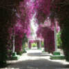 Sombra y color en el Parque José Celestino Mutis de Sevilla