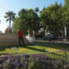 El agua de riego de parques y jardines