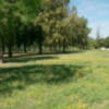 Sevilla, Parque del Tamarguillo (Alcosa)