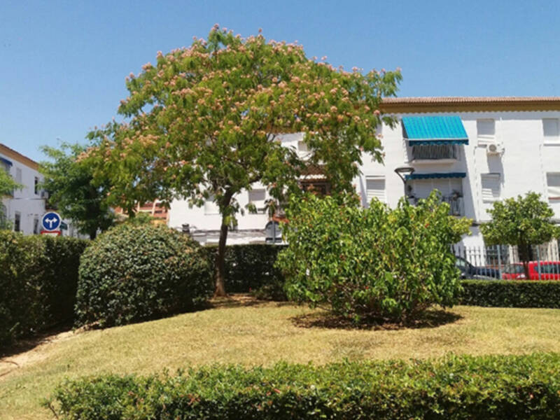 Construcción de jardines sobre aparcamientos subterráneos