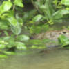 Costa Rica Turismo de Naturaleza