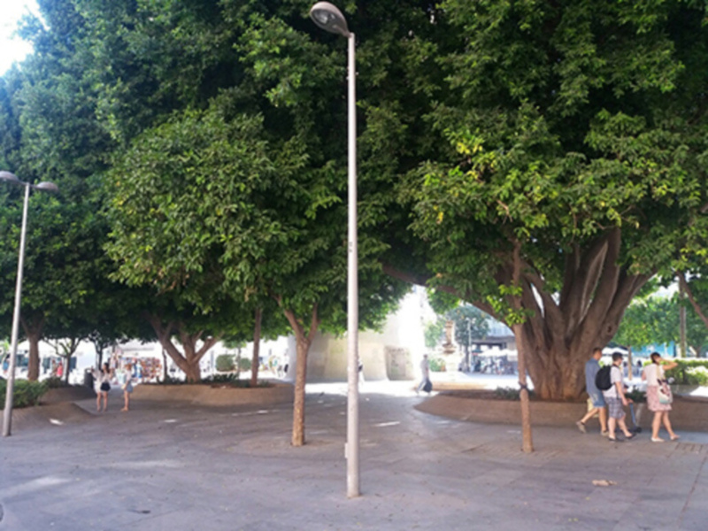 Paz y tranquilidad en un parque con árboles altos y una fuente en el fondo.