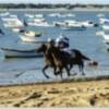 El Segundo Ciclo de las Carreras de Caballos de Sanlúcar de Barrameda, en Canal Sur Televisión y ATV