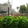 Los turistas prefieren ciudades seguras, limpias y con bonitos parques y jardines