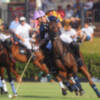 Gran Final de la Copa de Oro Cartier