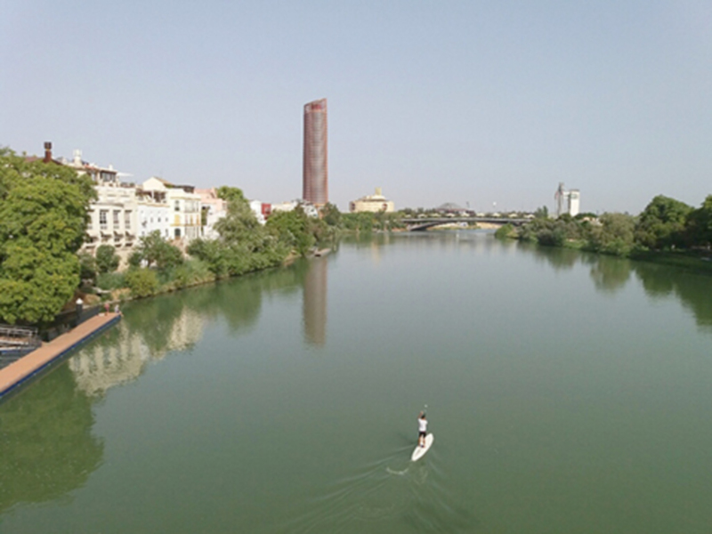 Surf de remo en el Guadalquivir