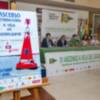 El Ascenso internacional a vela del río Guadalquivir vuelve a sus orígenes