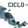 Ciclo+ Otoño del 12 de octubre al 3 de noviembre, Miércoles y jueves a las 20:30 horas
