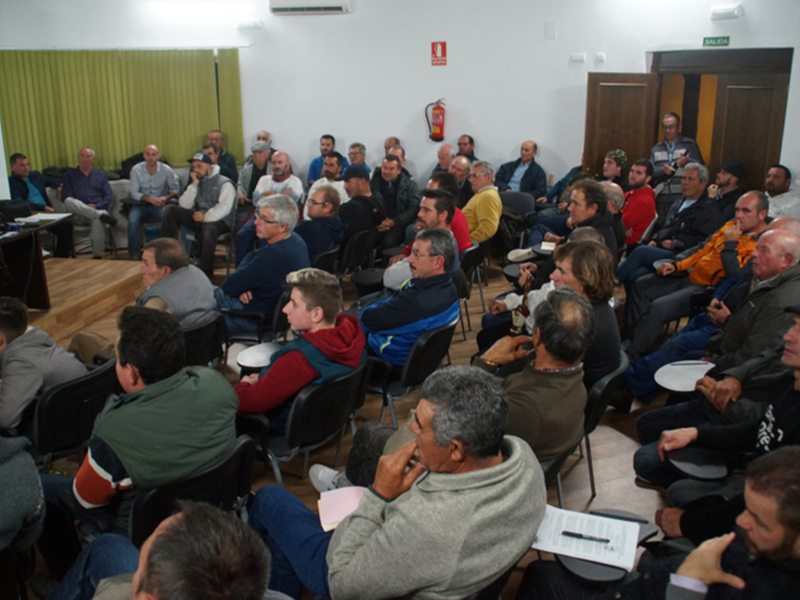 Satisfacción en Jarife por los resultados del foro participativo que ha realizado con sus socios